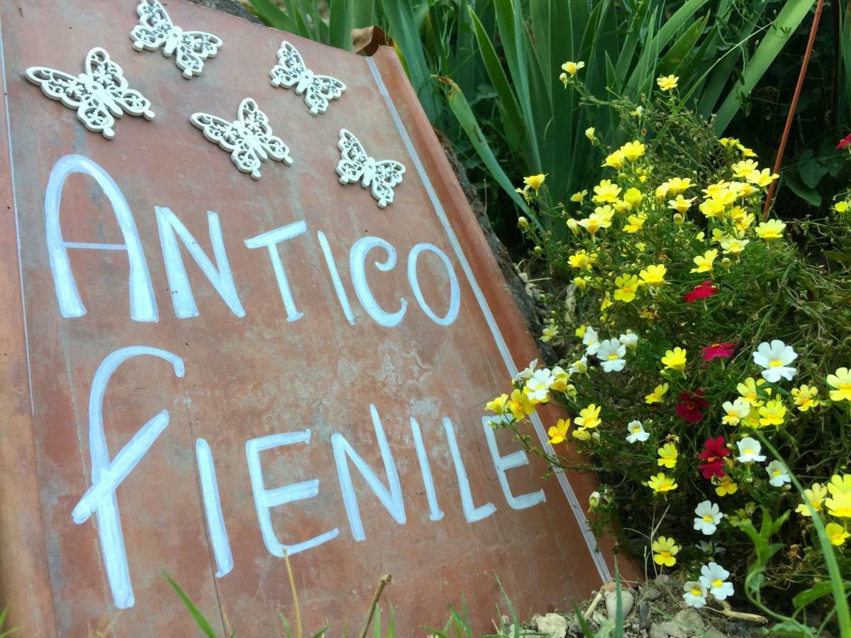 Antico Fienile Villa Celleno ภายนอก รูปภาพ