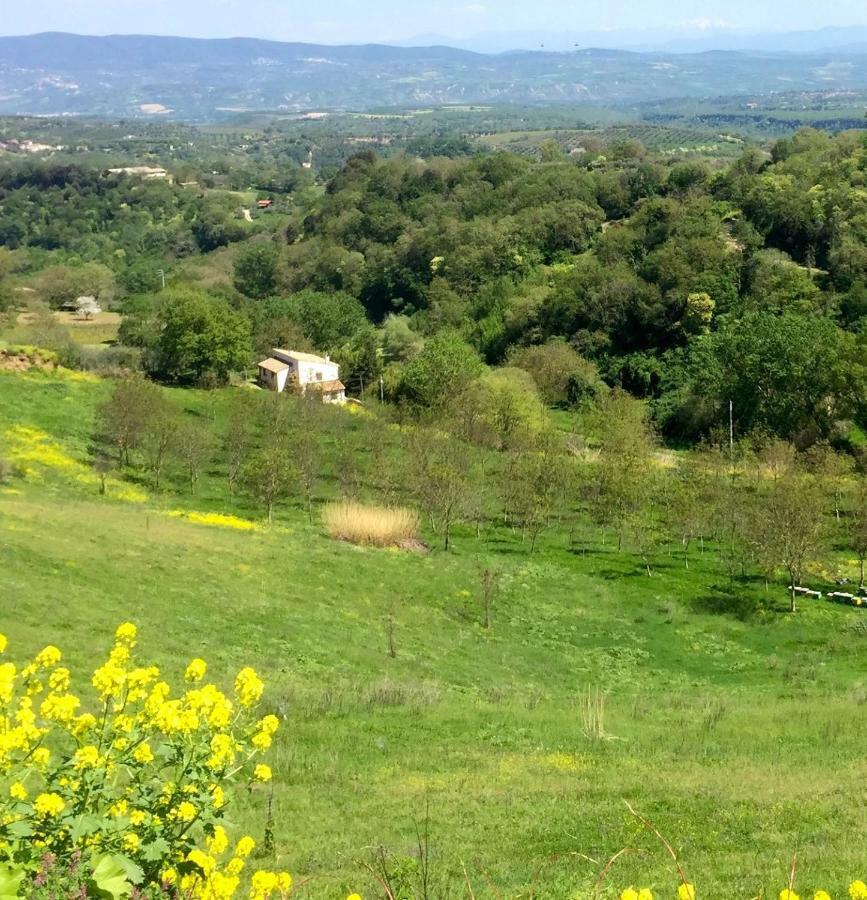 Antico Fienile Villa Celleno ภายนอก รูปภาพ