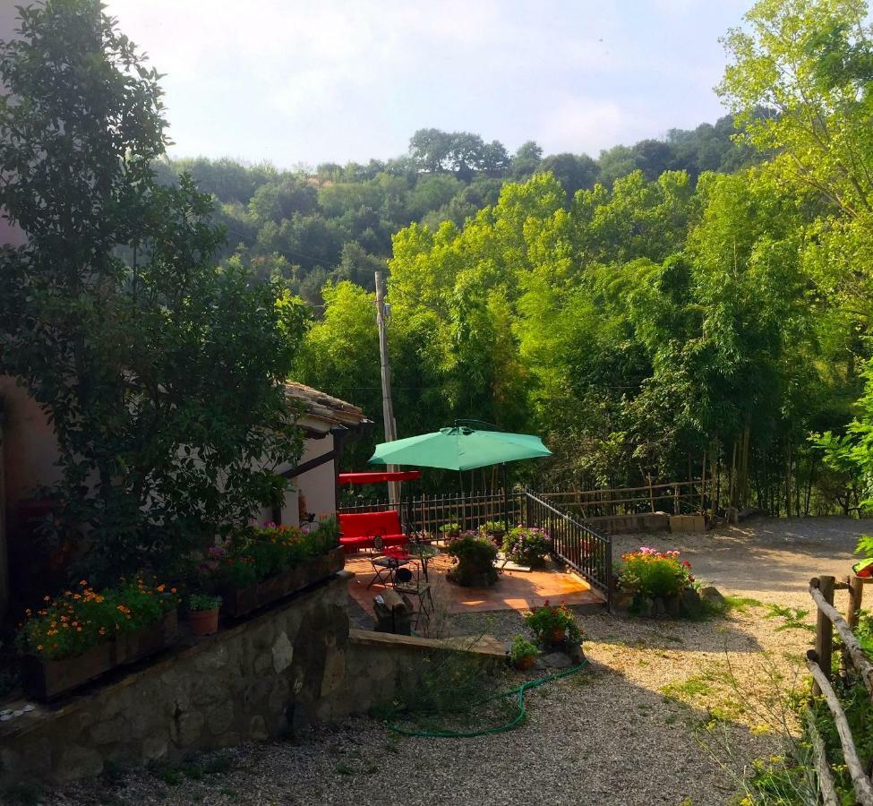 Antico Fienile Villa Celleno ภายนอก รูปภาพ